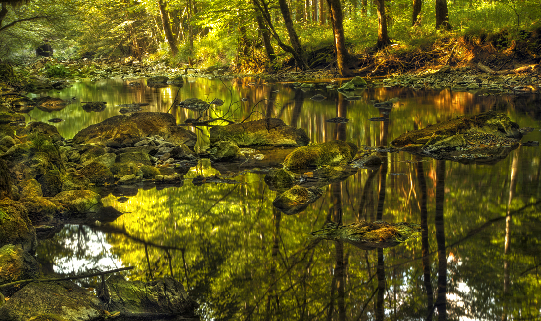 Bjelica - Delnice Bike&Hike