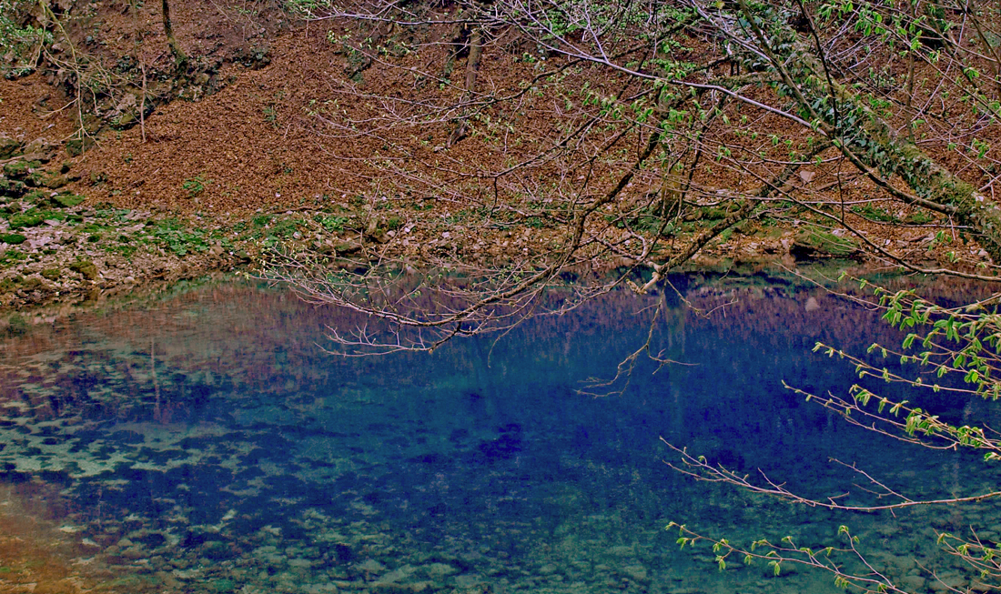 Izvor Kupice - Delnice Bike&Hike