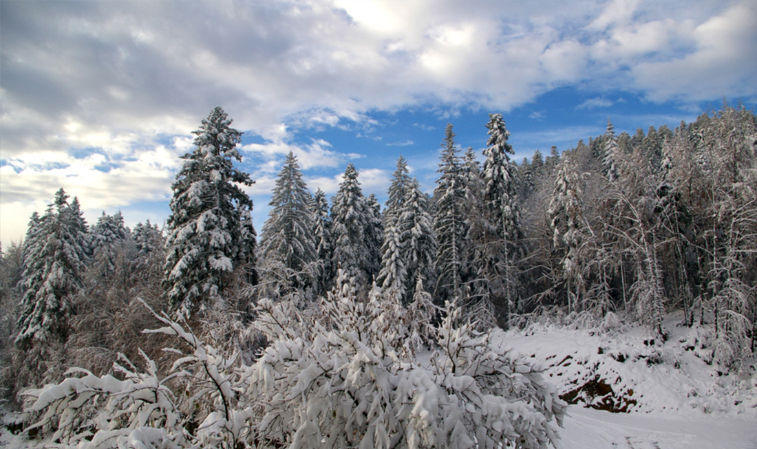 Praprot - Delnice Bike&Hike